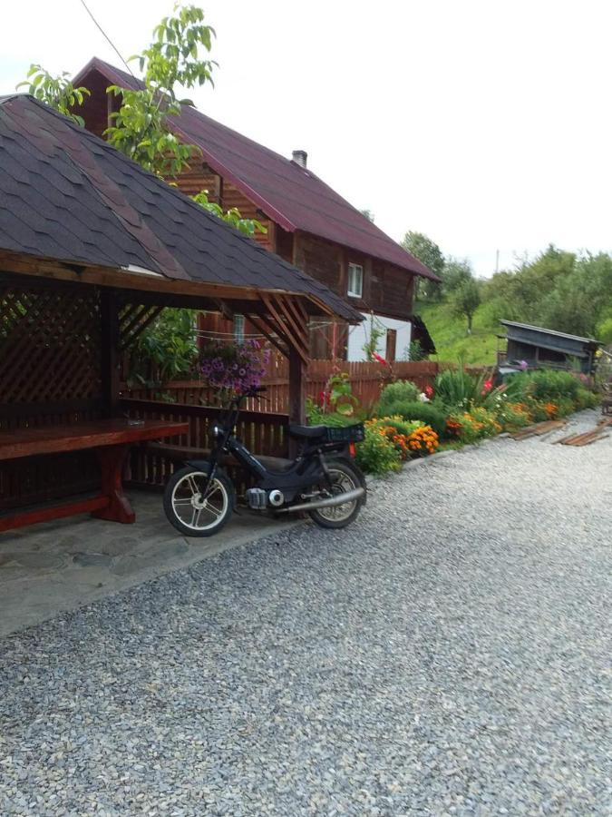 Mlynski Mykulytjyn Exteriör bild