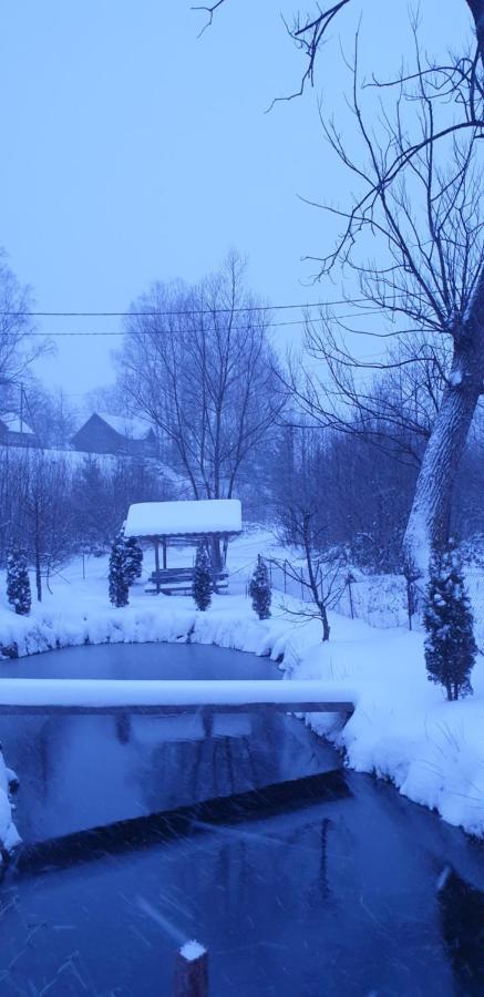Mlynski Mykulytjyn Exteriör bild